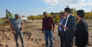 Başkan Çiftçi, DSİ İle Sadabad Parkı Ve Kızılırmak'a El Attı