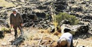 ‘Mokisos Antik Kenti 2020’ Arkeolojik Çalışmaları Başladı